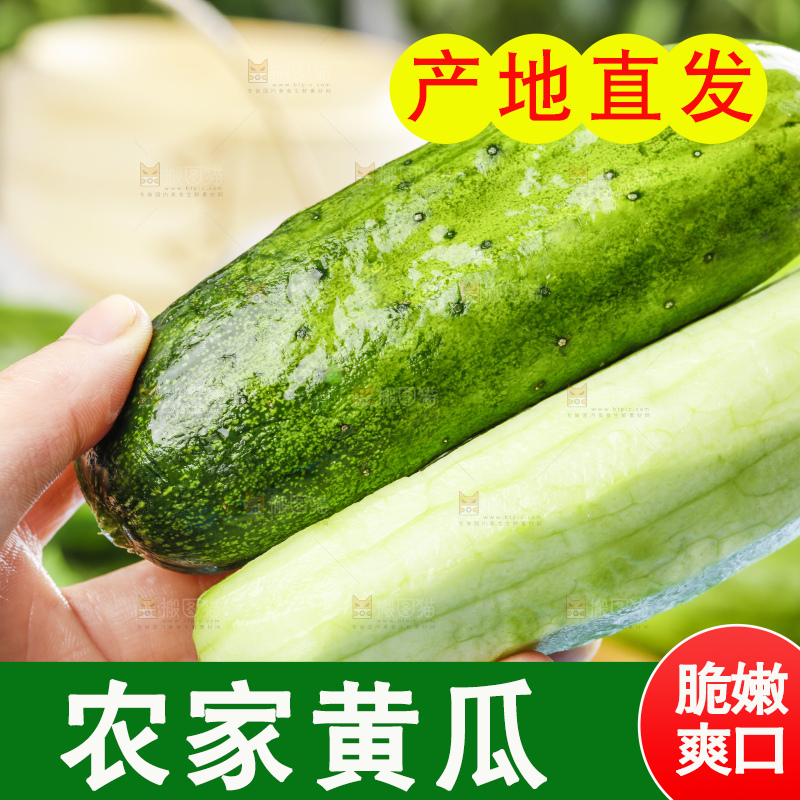 手里拿着黄瓜