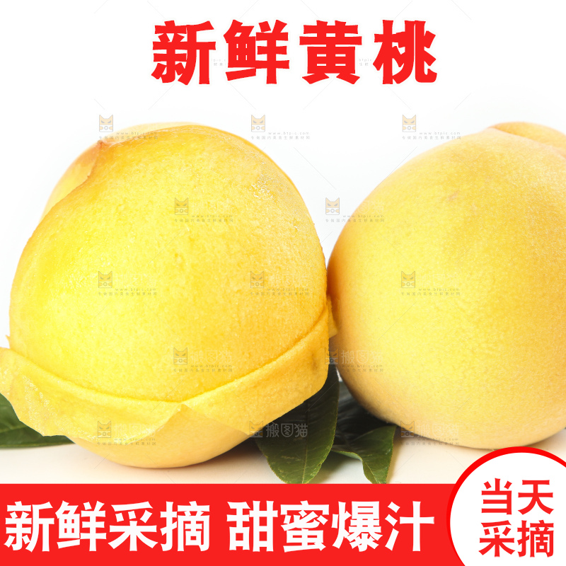 白底上的黄肉桃