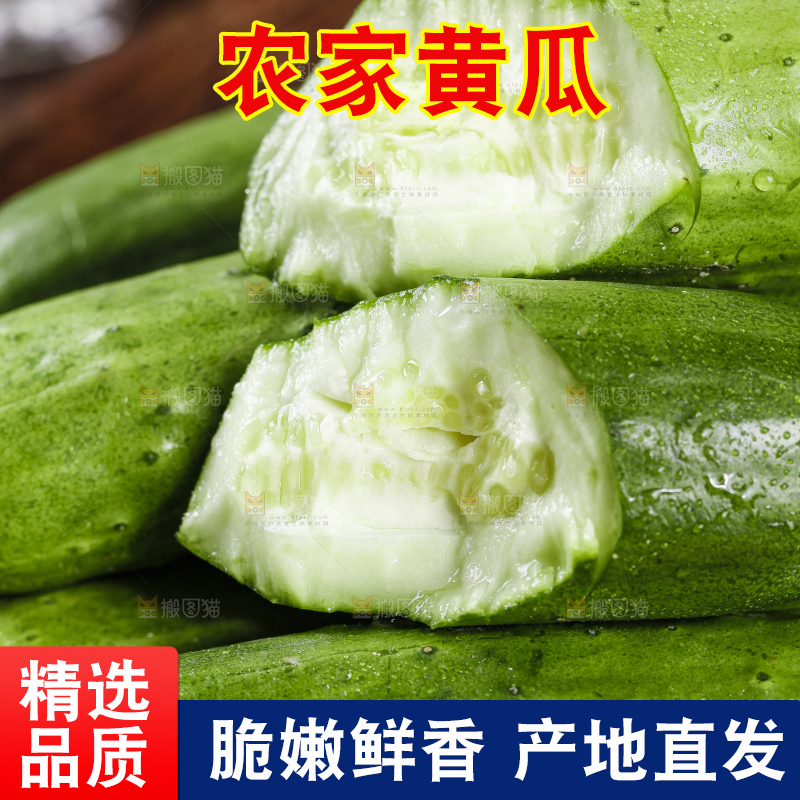 堆放着一堆的黄瓜