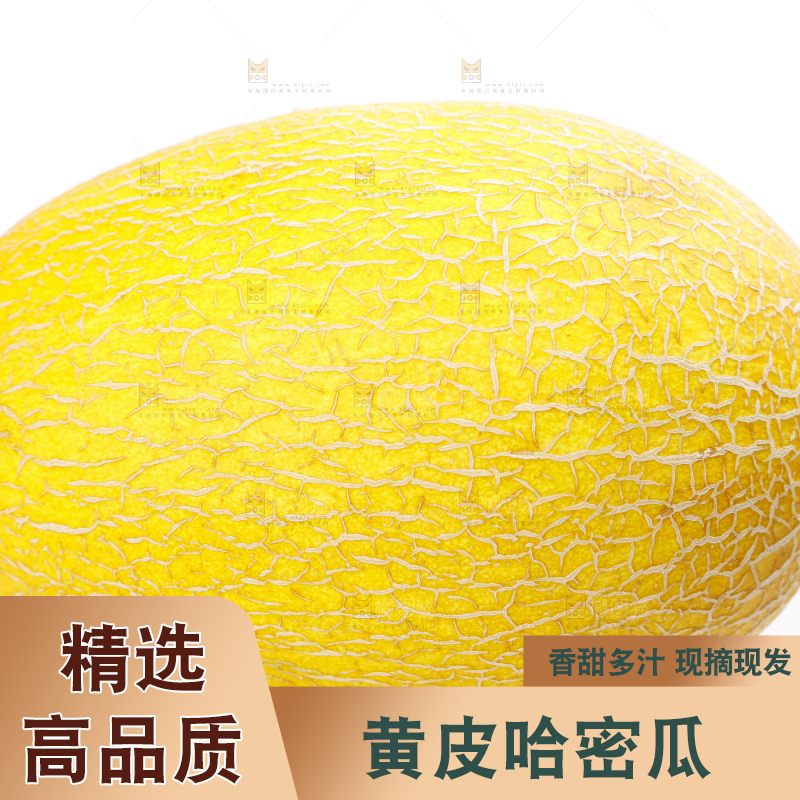 白底上摆放着黄皮哈密瓜