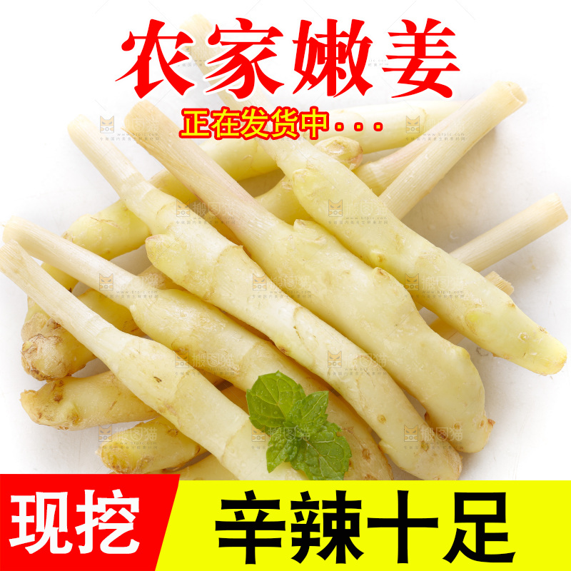 白底上的一堆新鲜生姜