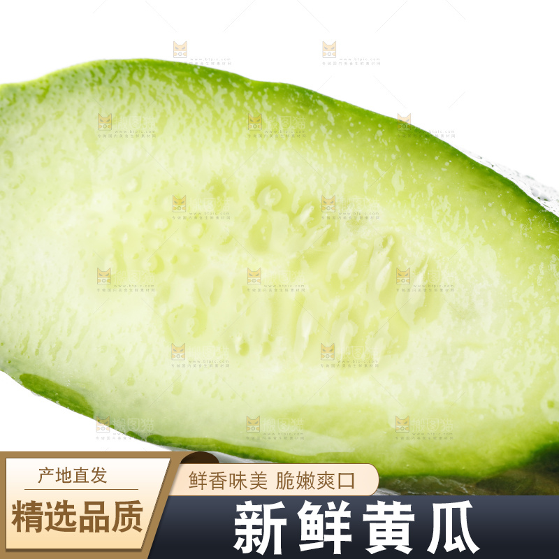 白底上摆放着山东水果黄瓜
