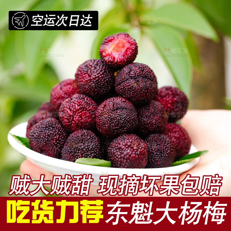 手里端着杨梅