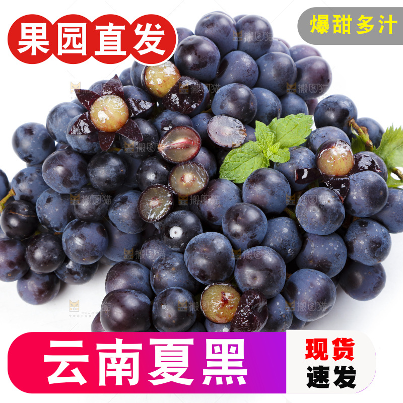 白底上的巨峰葡萄