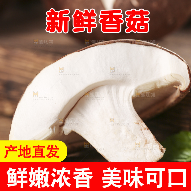 木底上摆放着湖北香菇