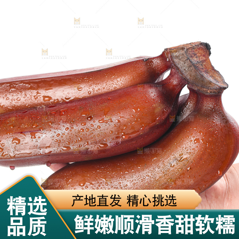 白底上的红皮美人蕉