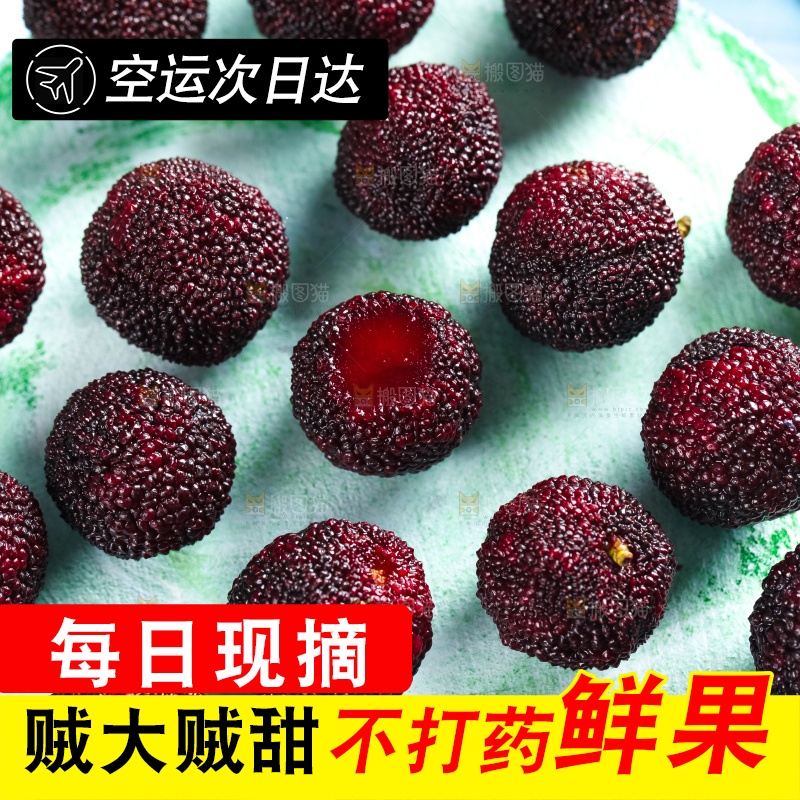 浅底上摆放着鲜杨梅