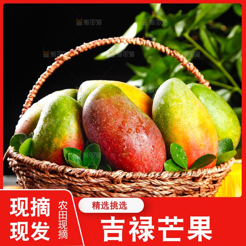 篮子里装着爱文芒