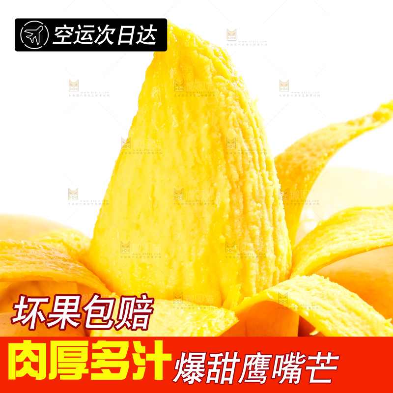 白底上放着云南鹰嘴芒