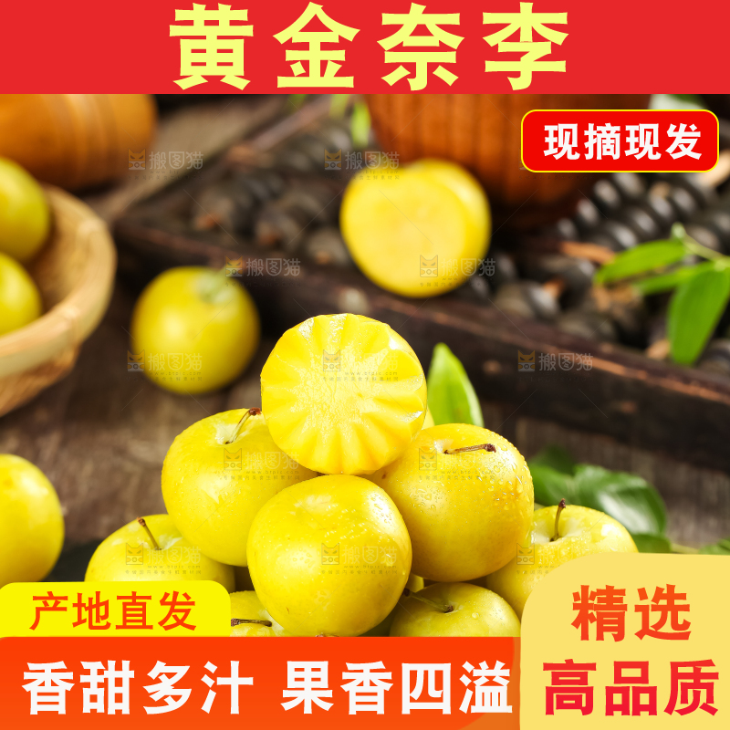 黑石板上放着九峰山黄金奈李