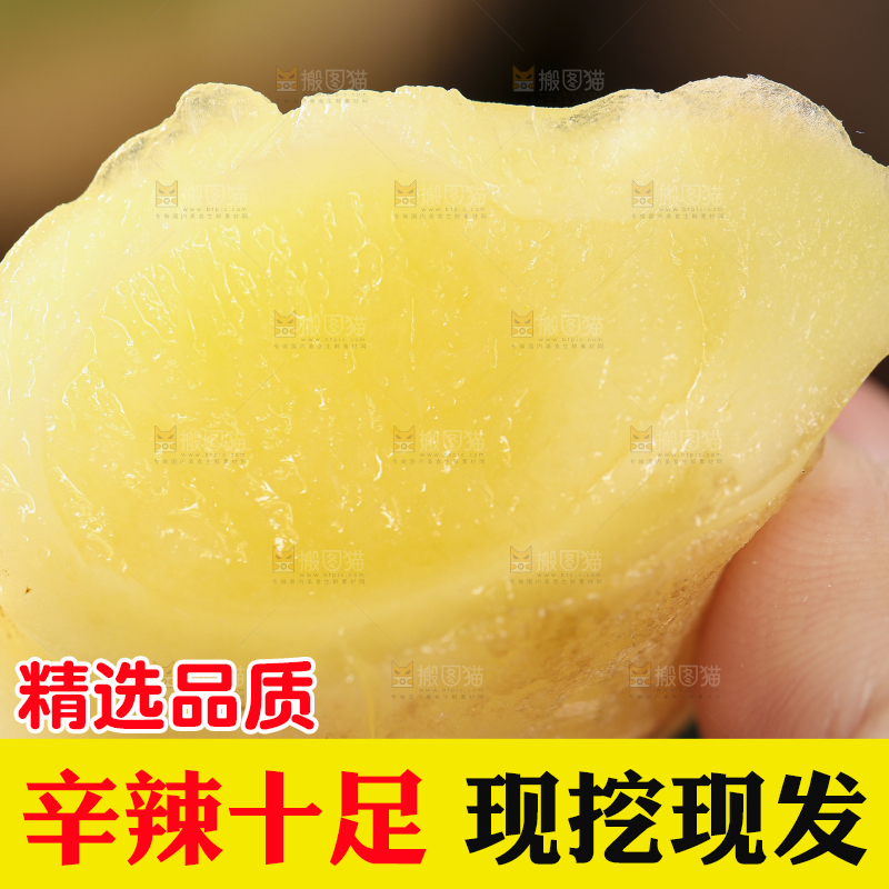 手里拿着红芽姜