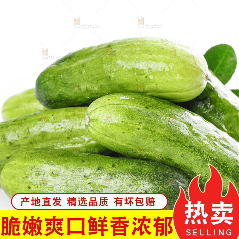 白底上放着刺黄瓜