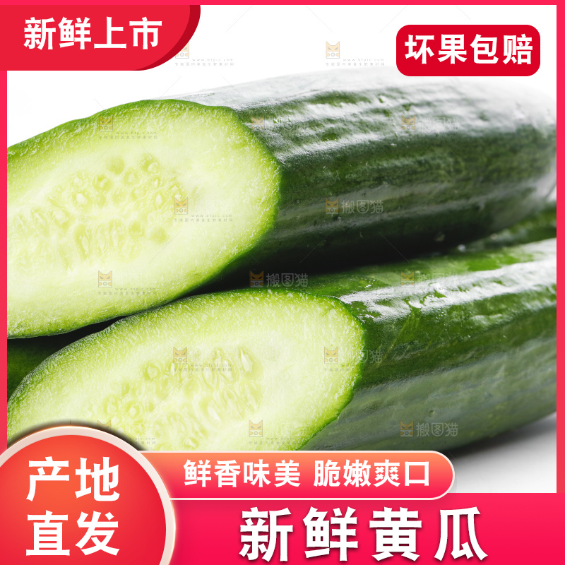 白底上摆放着嫩黄瓜