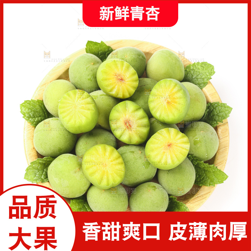 白底上的新鲜青杏
