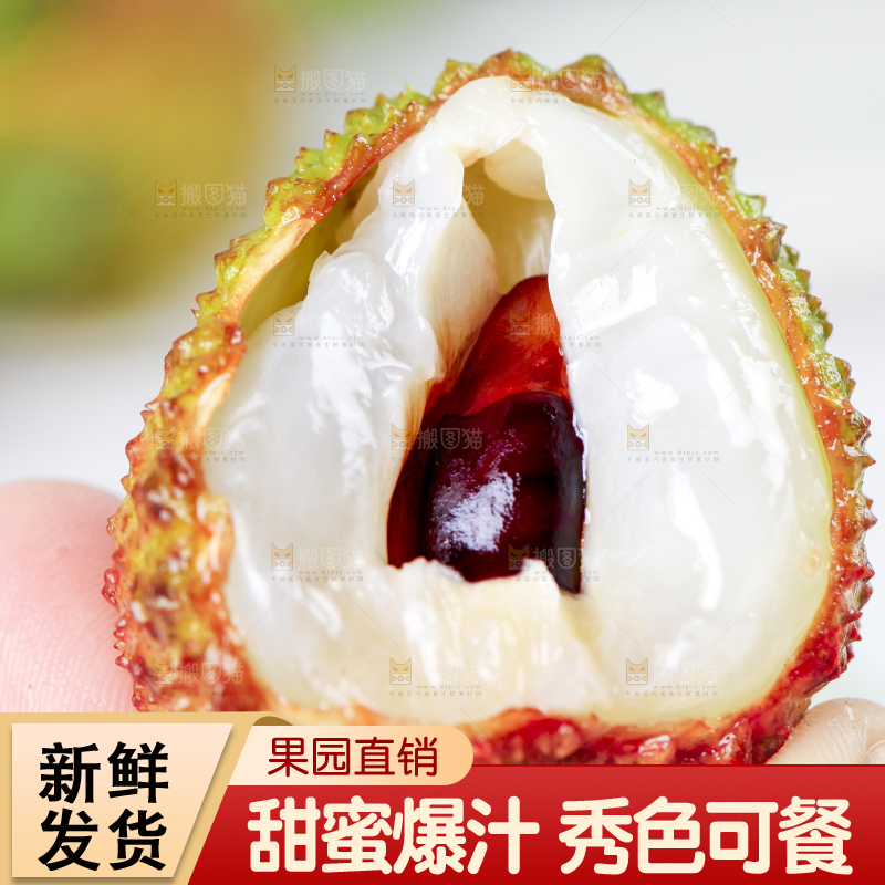 手里拿着妃子笑荔枝