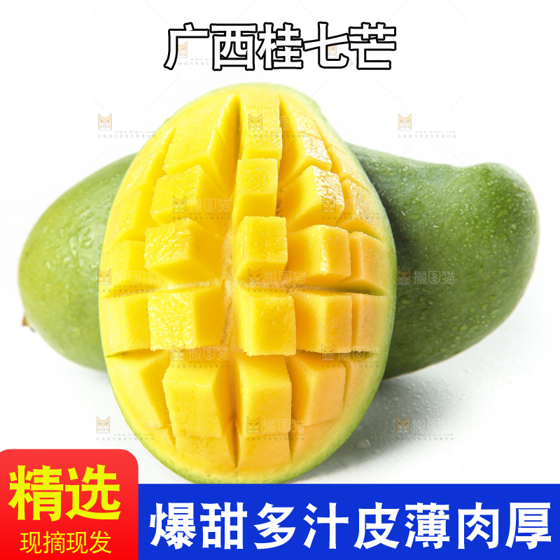 白底上放着青皮桂七芒