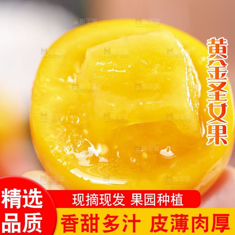 手里拿着黄色小番茄
