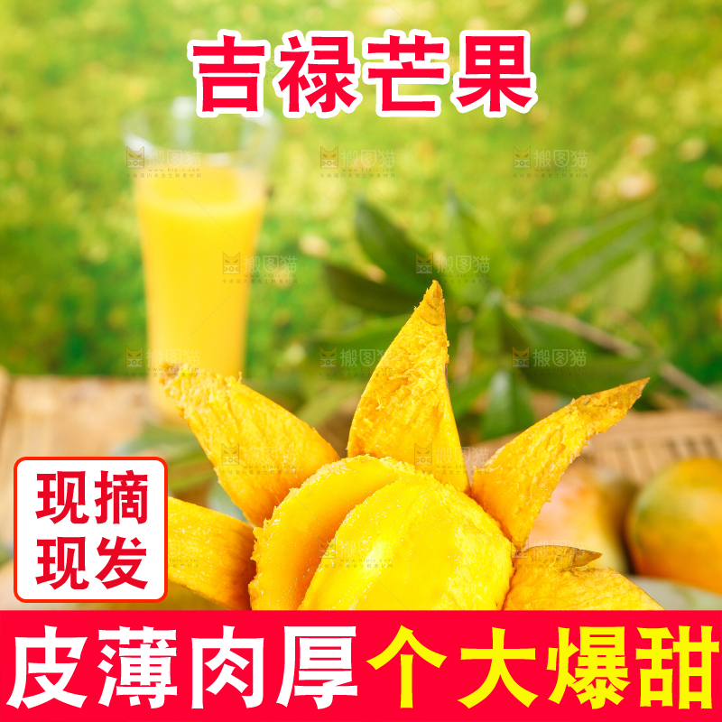 木底上的爱文芒