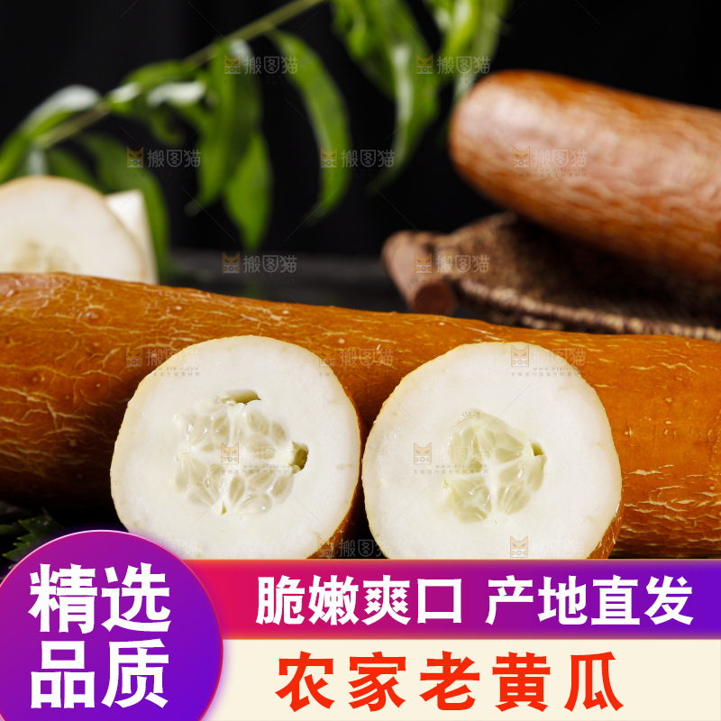 深底上的老黄瓜