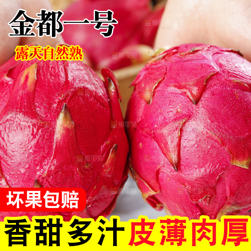手里拿着新鲜火龙果肉