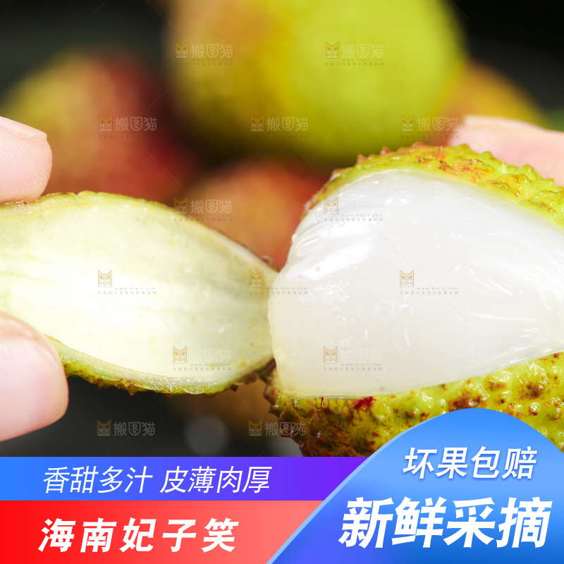 手里拿着妃子笑荔枝