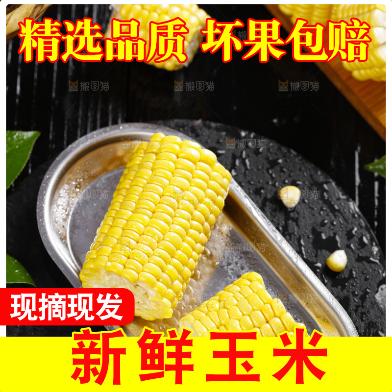 黑石板上的东北玉米