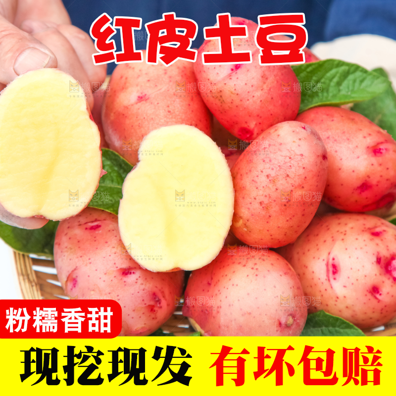 篮子里装着高山红皮土豆