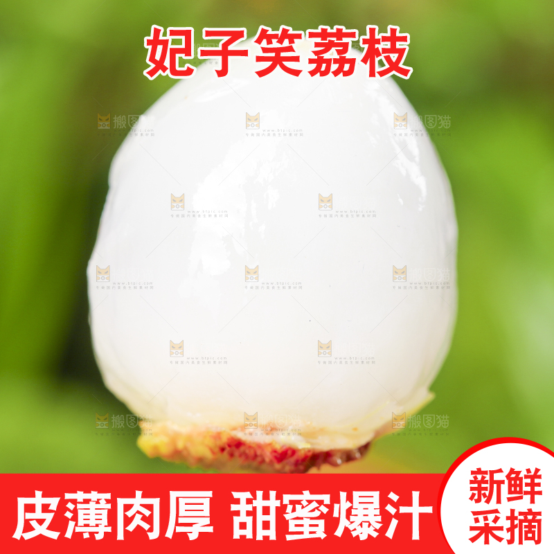 手里拿着新鲜妃子笑