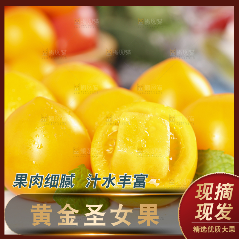 白底上摆放着山东黄金小番茄