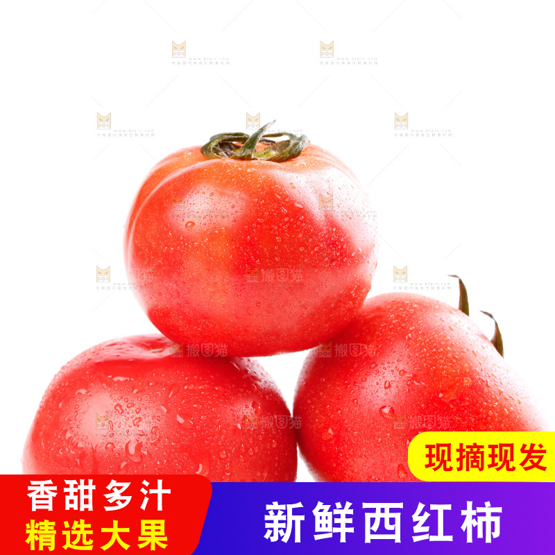 亮底上的新鲜西红柿