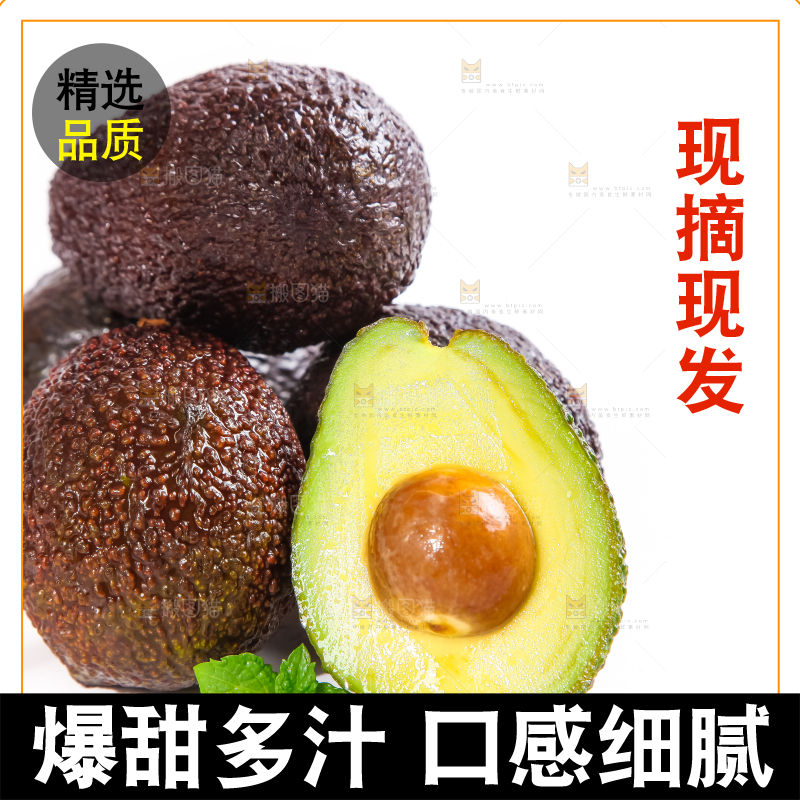 白底上的墨西哥牛油果
