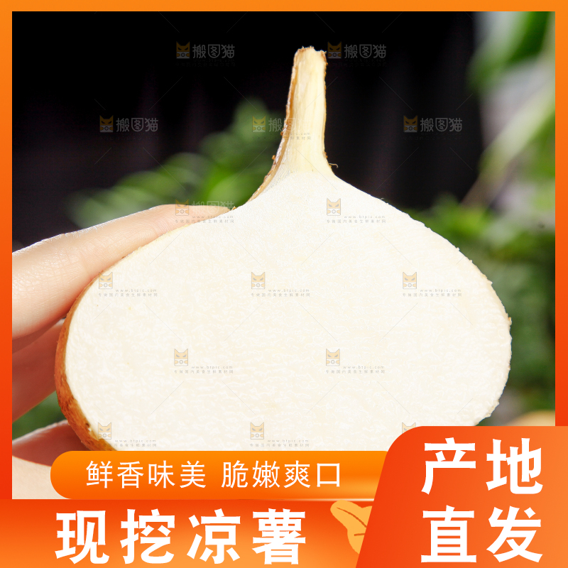 手里拿着凉薯