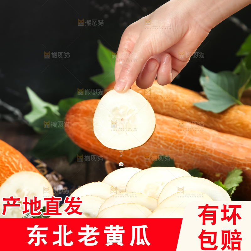 手里拿着新鲜老黄瓜