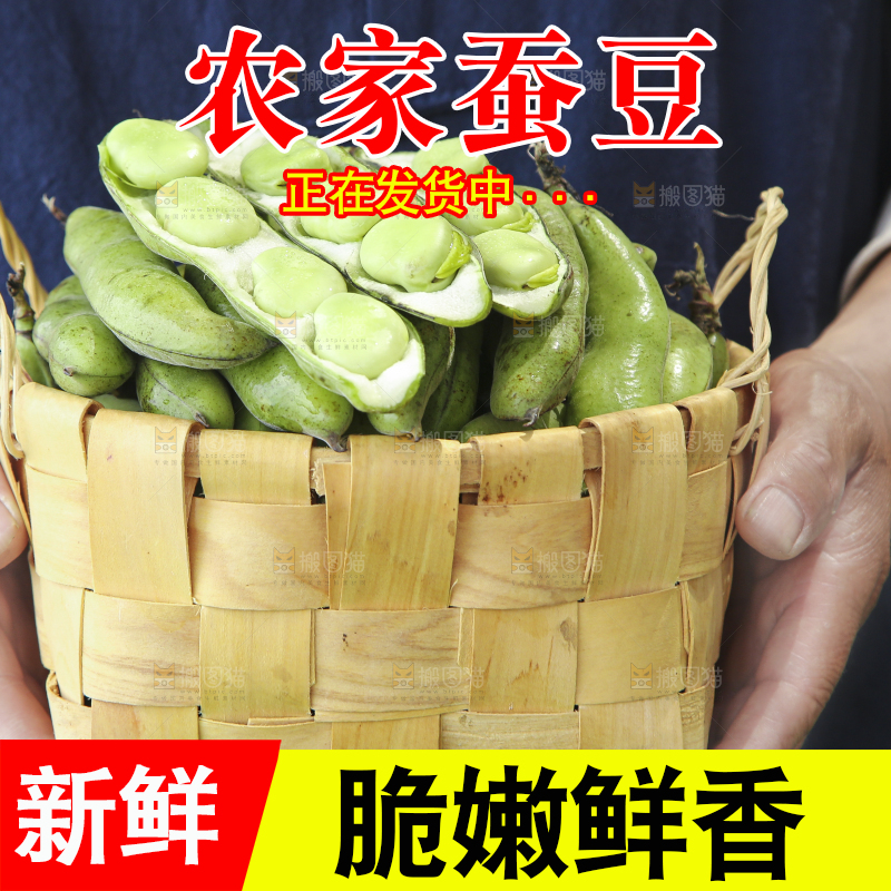 手里端着一篮生蚕豆