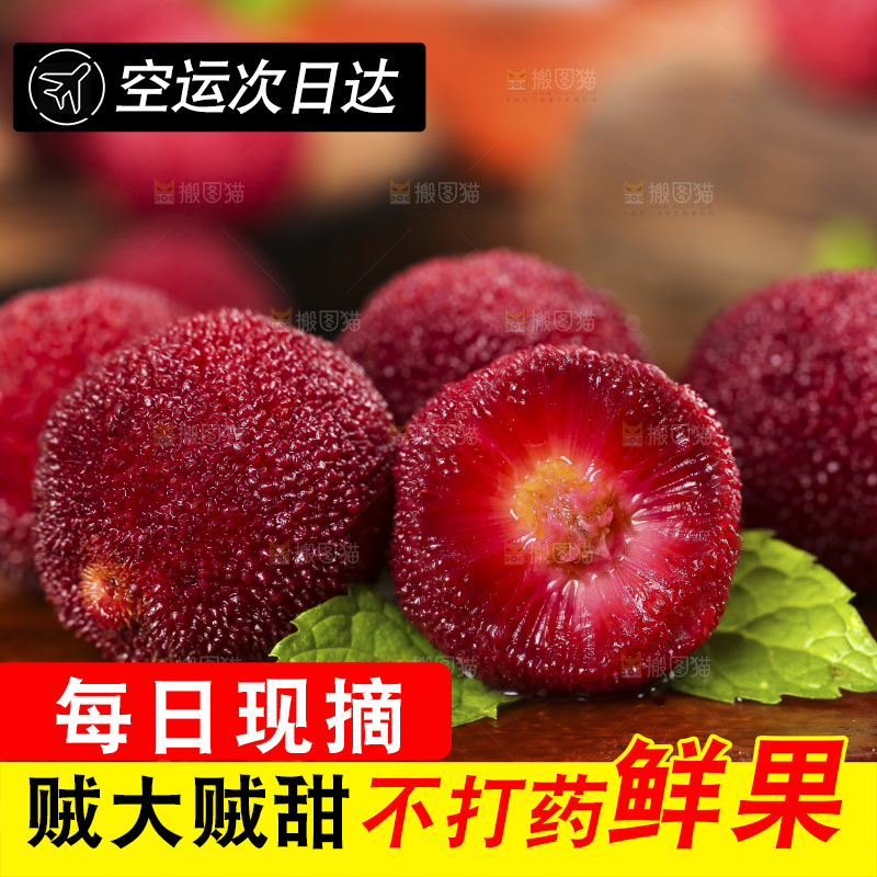 木板上摆放着东魁杨梅