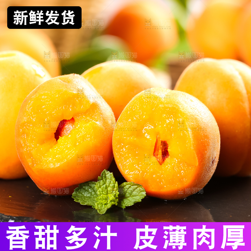 黑底上放着黄杏