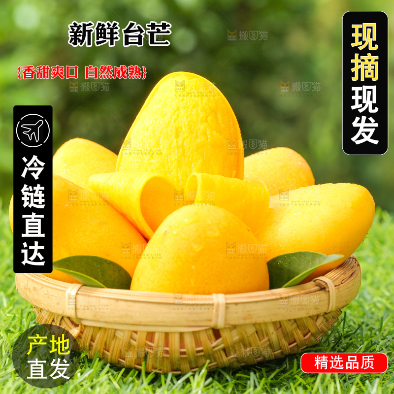 篮子里装着小台农芒