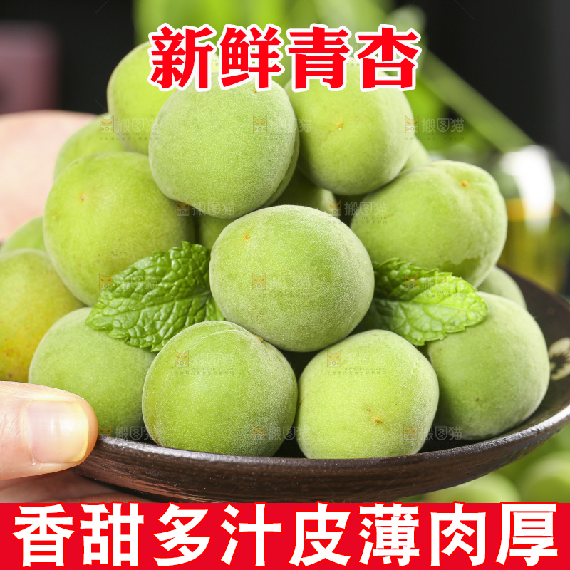 手里拿着脆酸青杏