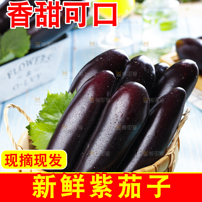 篮子里装着紫茄子