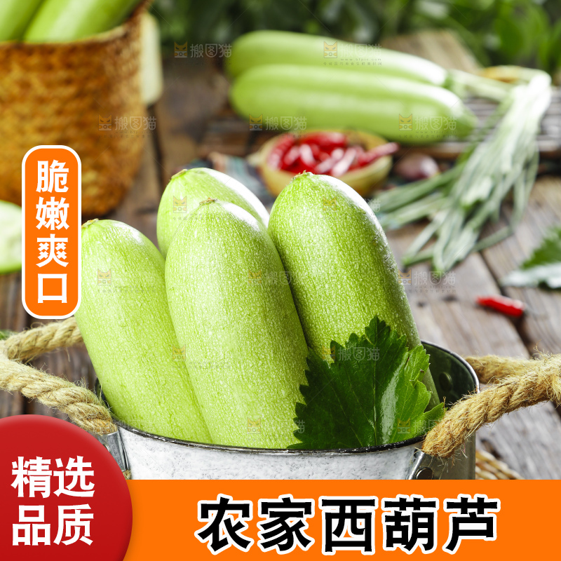 篮子里装着山东西葫芦