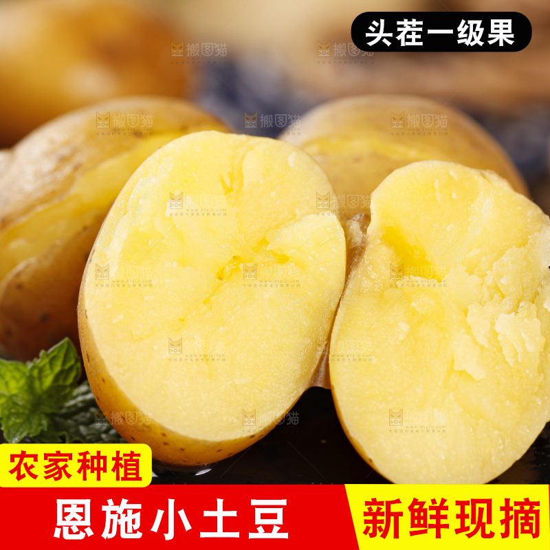 黑石板上摆放着黄心小土豆
