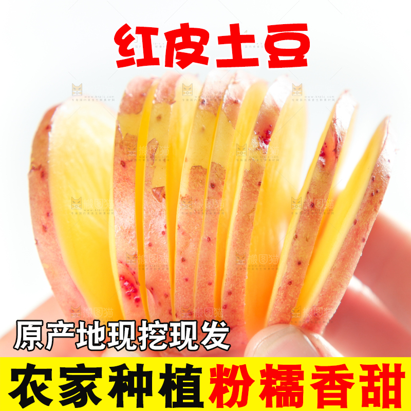 手里拿着红皮土豆
