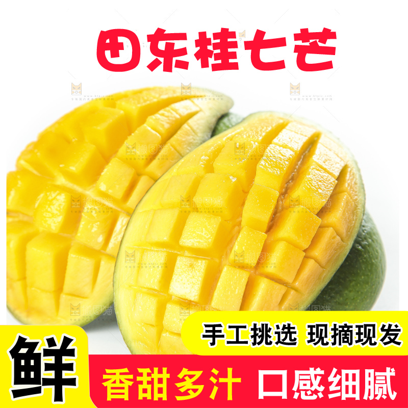 白底上的桂七香芒