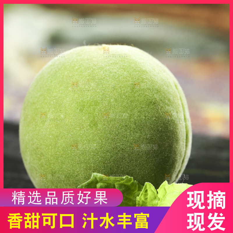 黑石板上的青杏