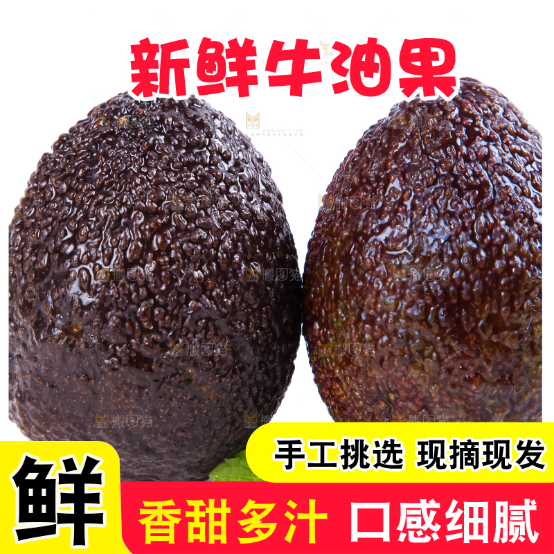 白底上的墨西哥牛油果