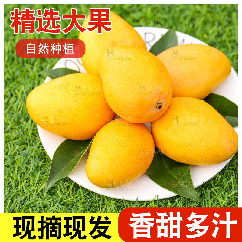 盘子里的小台农芒果