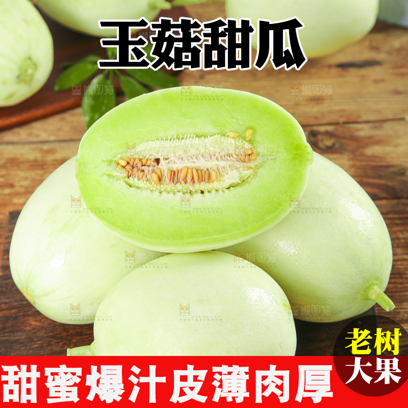 深底上摆放着山东玉菇甜瓜