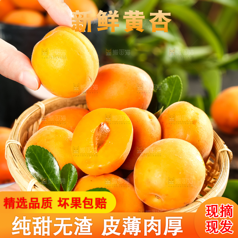 篮子里装着杏子