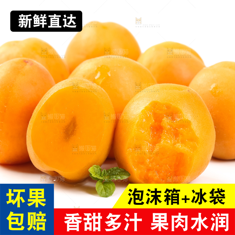 白底上摆放着杏子