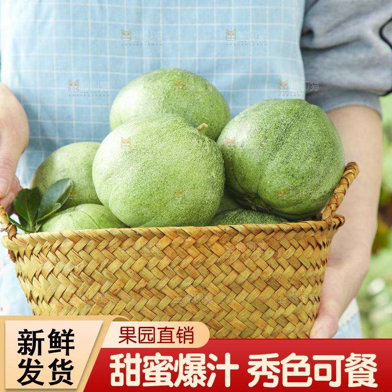 手里端着一篮香瓜
